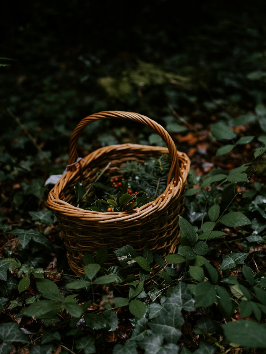 Photo by Annie Spratt brown woven basket